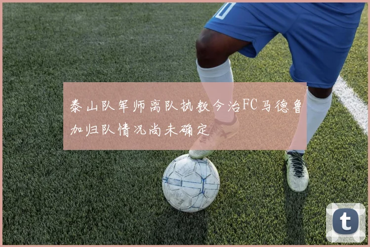 泰山队军师离队执教今治FC马德鲁加归队情况尚未确定